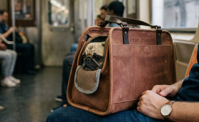 Seamless Public Transit Commuting
