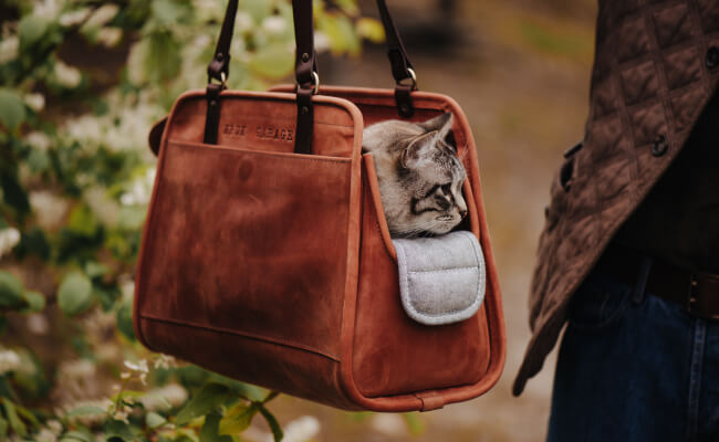 Pet Carrier from Kruk Garage