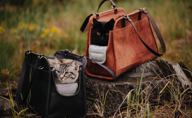 Leather Pet Carrier from Kruk Garage