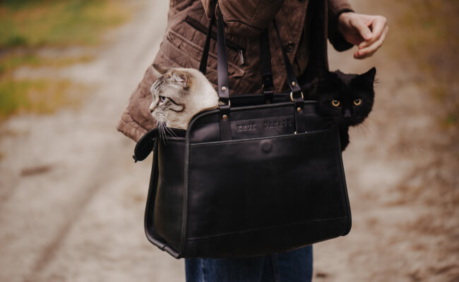Leather Pet Carrier